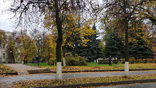 Необычно тёплая неделя в конце октября: погода удивляет жителей Коми