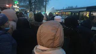 Во Владимирскую область привезут на работу более ста человек из Южной Азии