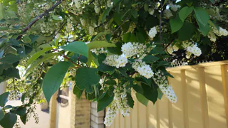 «Аномальная жара до +35 вернется, но с подвохом». Синоптики озвучили новый прогноз на конец июня