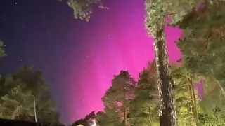 Жители Касимова засняли в небе северное сияние