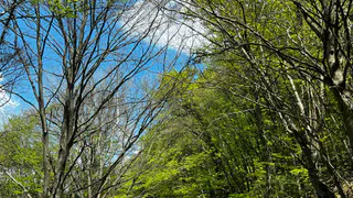 «Холодное лето, расходы и сложности»: народные приметы на 4 апреля 2025 года - день Василия Теплого