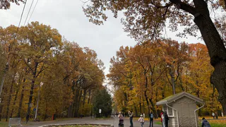 Рязанский парк ждет масштабное обновление