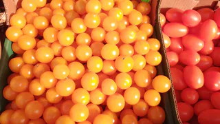 Более 19 тонн фруктов из Китая развернули на границе с Челябинской областью 