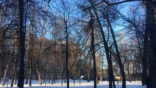 Прогноз погоды на неделю: температурные качели и минимум осадков в Рязани