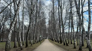 Ранняя весна разбудила гадюк в Клепиковском округе