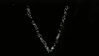 Более 300 брянцев с фонариками выстроились в буквы Z и V