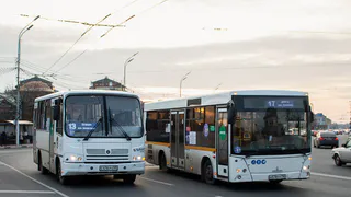 Мэрия Рязани установила новые цены на льготные проездные