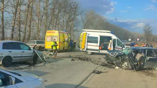 На трассе М-7 в Суздальском районе столкнулись две легковушки