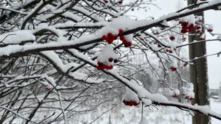 В Чувашии прогнозируют снегопады и похолодание после аномально теплой погоды