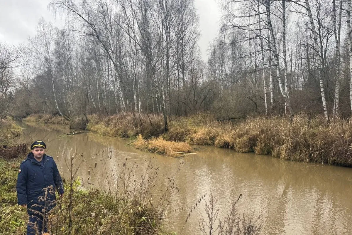 В Петушинском районе загрязнение рек привело к экологическому ущербу почти на 50 миллионов рублей