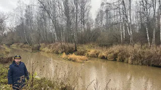 В Петушинском районе загрязнение рек привело к экологическому ущербу почти на 50 миллионов рублей