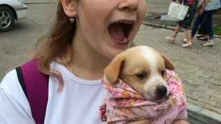 Две живодерки забирали из приютов животных и жестоко убивали их