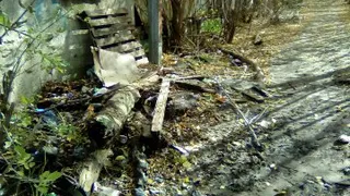 Жуткая тропа на Михайловском шоссе пугает рязанцев