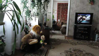 Что интерьер вашего дома расскажет о вас: 5 грубых ошибок, которые испортят впечатление гостей