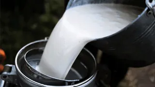 В Брянской области выросли объемы производства молока