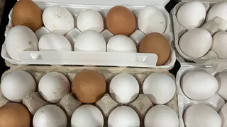 Острым концом вверх или вниз - вот как хранить куриные яйца, чтобы они не портились