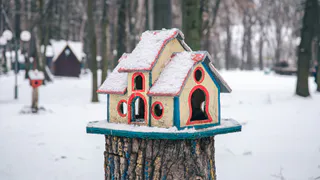 Потеряют землю: всем, у кого участок в собственности - новое жесткое правило с 14 декабря