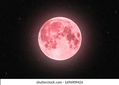 Названы три знака зодиака, которым в жизни поможет Клубничная Луна