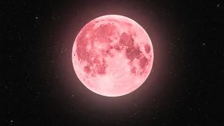 Названы три знака зодиака, которым в жизни поможет Клубничная Луна