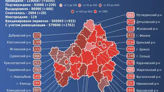 За сутки COVID-19 унес жизни 20 брянцев