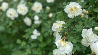 Гороскоп на 25 июня: романтический настрой и занятия спортом - лучшее спасение от любой проблемы
