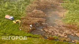 В Челябинской области предложили внести законопроект за фейки об экологии