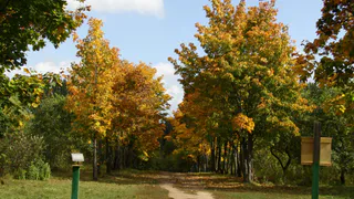 В воскресенье рязанцев ожидает теплая погода