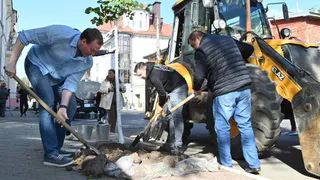 Павел Малков заявил о планах озеленить Рязань за три года
