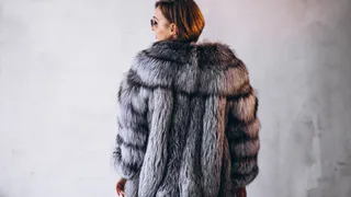 Стираем любимую шубу: рабочие методы сухой и влажной чистки искусственного меха


