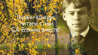 Читаем Есенина: рязанцам предложили прочитать стихи великого поэта и выложить в интернет