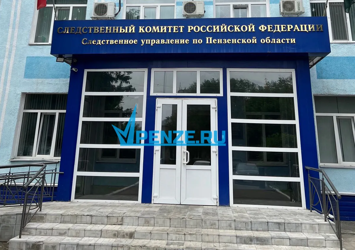 Следователи инициировали расследование из-за сообщений о нападении собак на жительницу Пензы