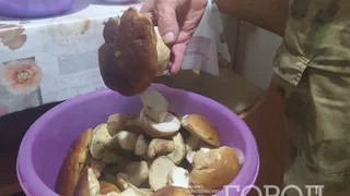 Элитный гриб, которым брезгуют многие грибники: вкусный до безумия - собираю постоянно, пока другие проходят мимо