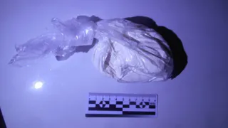 Наркоторговцы из Коми задержаны: им грозит до 20 лет тюрьмы