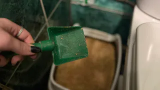 Устала мыть лоток каждый день — сделала одну хитрость: уборка занимает теперь 5 секунд