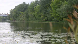 Это когда-нибудь прекратится?! За сутки в области утонул второй человек