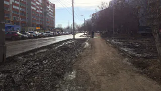 Особенности рязанского ландшафтного дизайна - фото