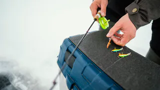 Выпишут штраф в 50 000 или посадят: объявлены новые запреты для российских рыбаков с 24 февраля