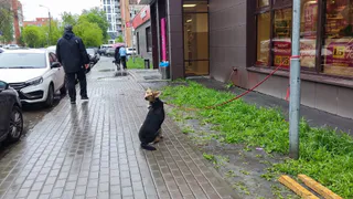 Астролог Володина рассказала, какому знаку необходимо начать новую жизнь, чтобы исполнить мечты