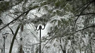 На следующей недели в Рязани ожидается до -3 градусов