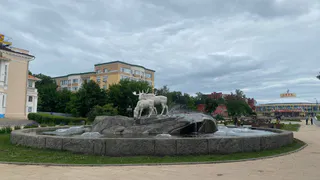 Какой фонтан Рязани архитектор считает самым красивым?