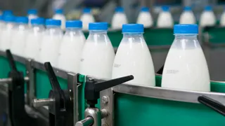 Молочная продукция с растительным жиром в брянских магазинах получит новую упаковку