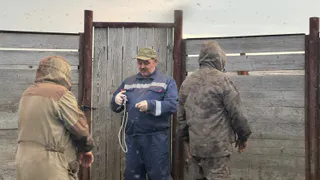 Ветеринары Коми отправились в тундру для масштабной вакцинации оленей