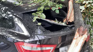 В центре Рязани манипулятор оборвал провода и повредил автомобили