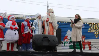 Мэрия Рязани поделилась фотографиями поезда Деда Мороза