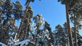 В конце декабря россиян ждет переход на новое трудовое расписание: суббота станет рабочим днем