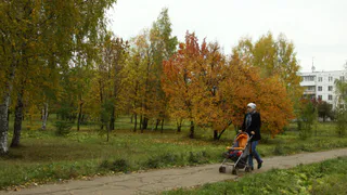Синоптики прогнозируют 14 октября в Рязани до +11 градусов