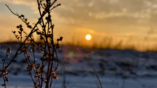 Погода на воскресенье, 26 декабря: снегопад продолжается