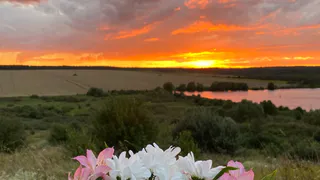 В Рязанском Лесопарке пройдёт празднование Международного женского дня  