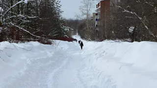 Удача и признание свалятся на голову: астрологи назвали 4 знака-везунчика, которых в 2026-м ждет ошеломительный успех