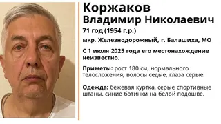 Во Владимирской области ищут 71-летнего мужчину в бежевой куртке из Балашихи